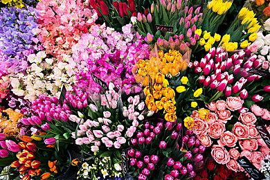 2024手游市场占全球游戏市场50% 太吸引人了