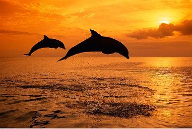 《遗迹2》DLC新职业“祭祀者”揭晓预告片 11月15日发售